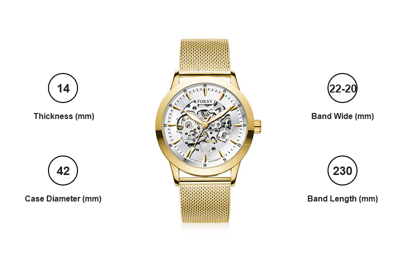 Automatic Mechanical Watches