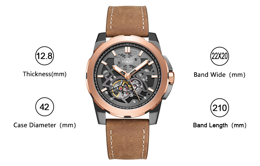 Automatic Mechanical Watches